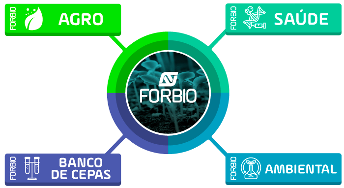 Unidades-de-negocios-Forbio---POR unidades-de-negocios-areas-forbio